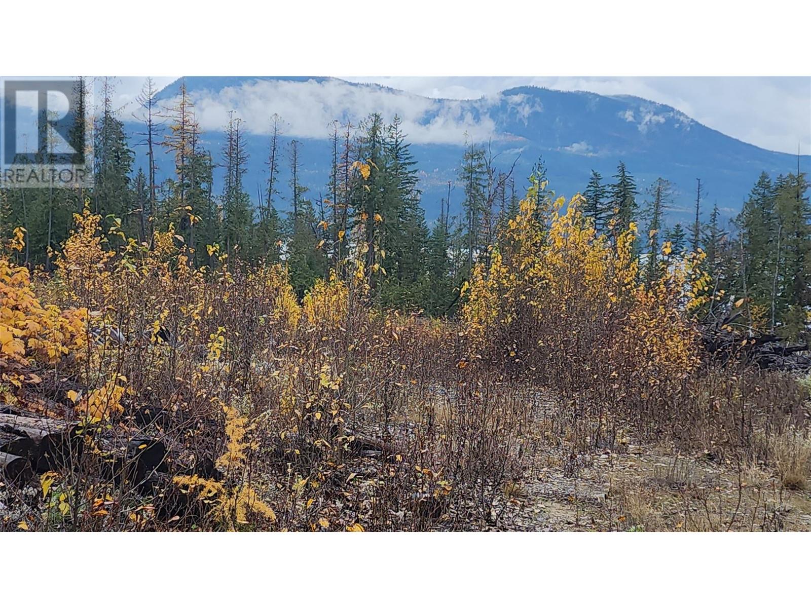 Lot A 23 Highway, Nakusp, British Columbia  V0G 1R0 - Photo 12 - 10327777