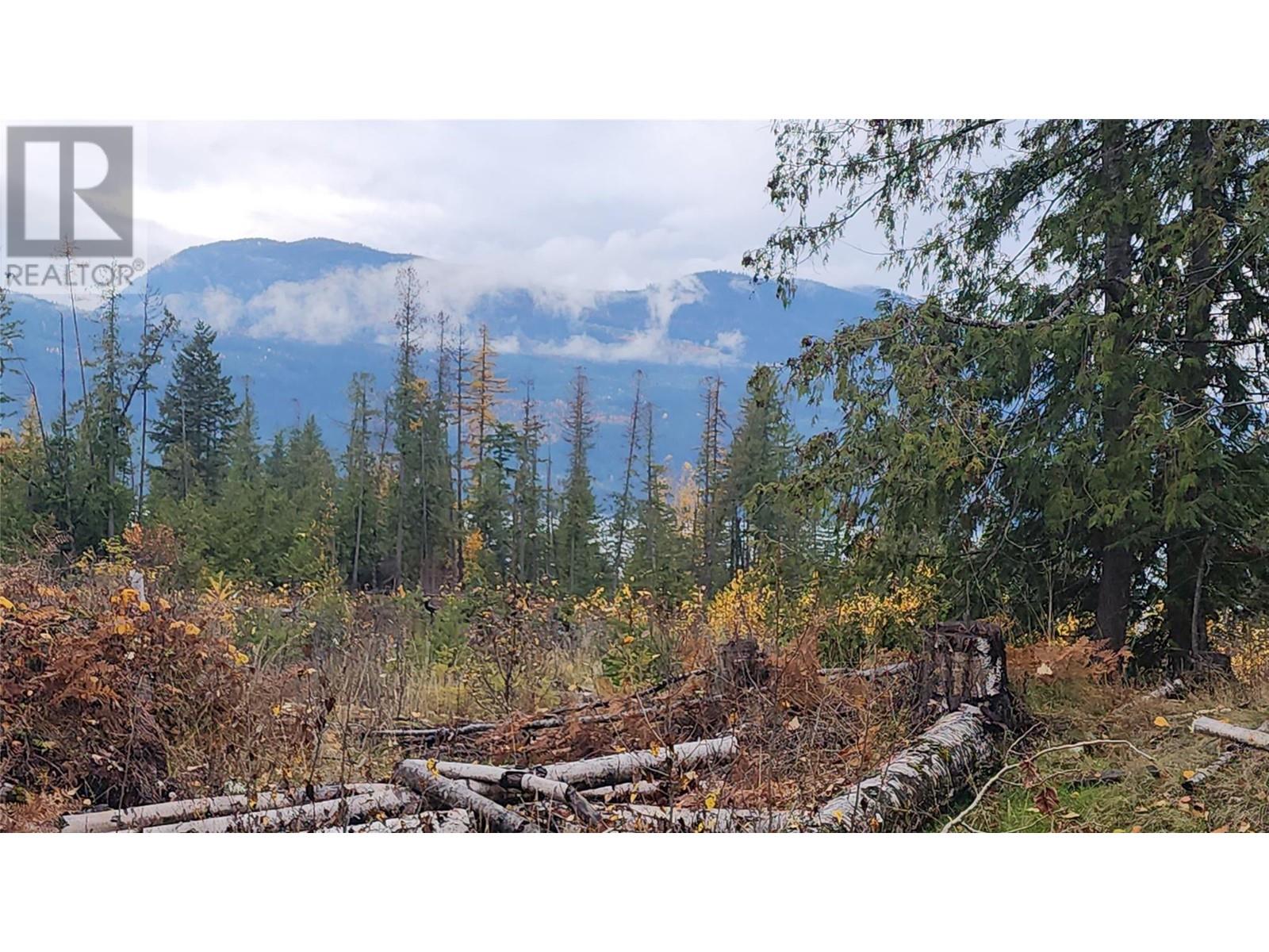 Lot A 23 Highway, Nakusp, British Columbia  V0G 1R0 - Photo 14 - 10327777