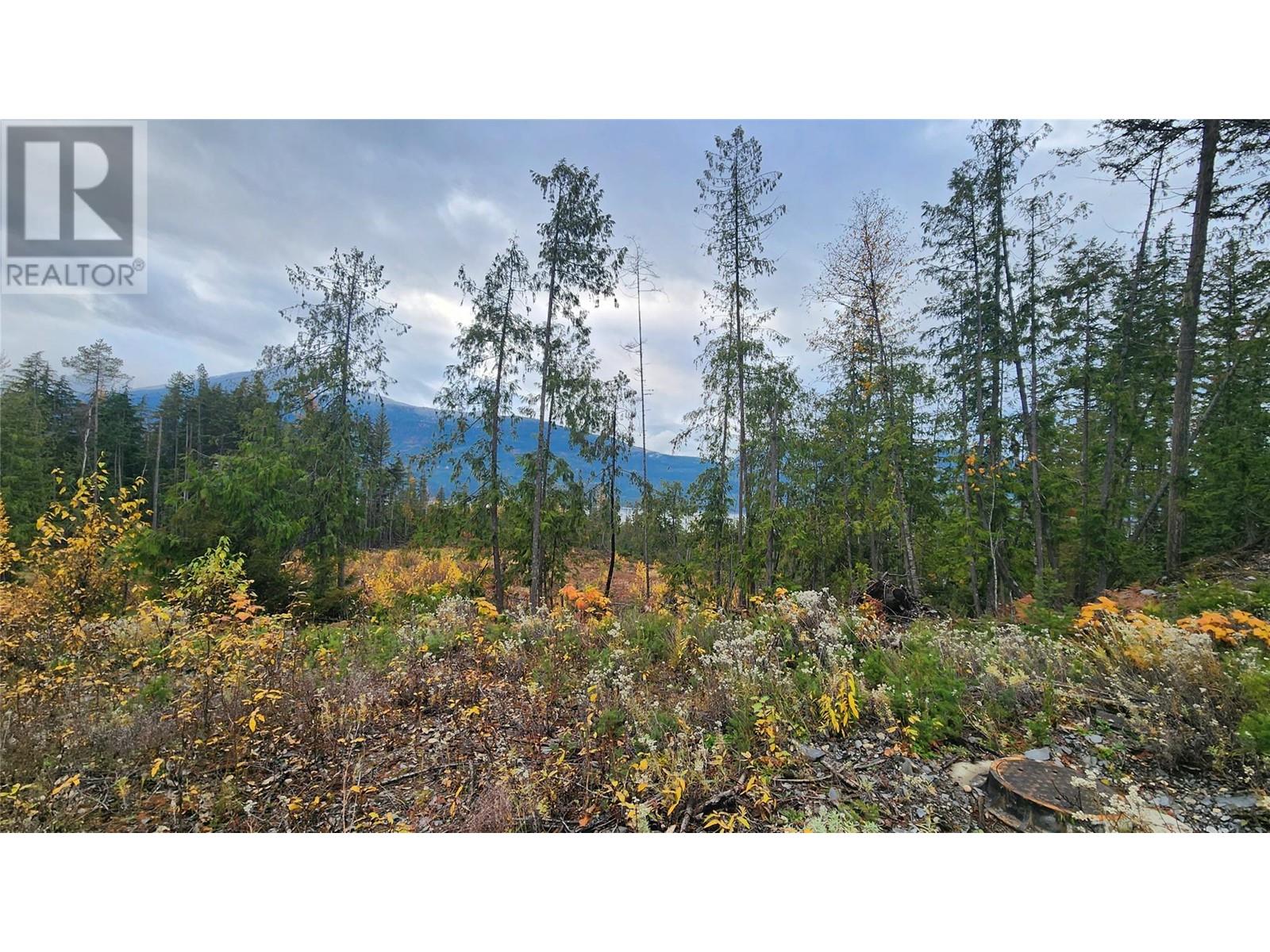 Lot A 23 Highway, Nakusp, British Columbia  V0G 1R0 - Photo 17 - 10327777