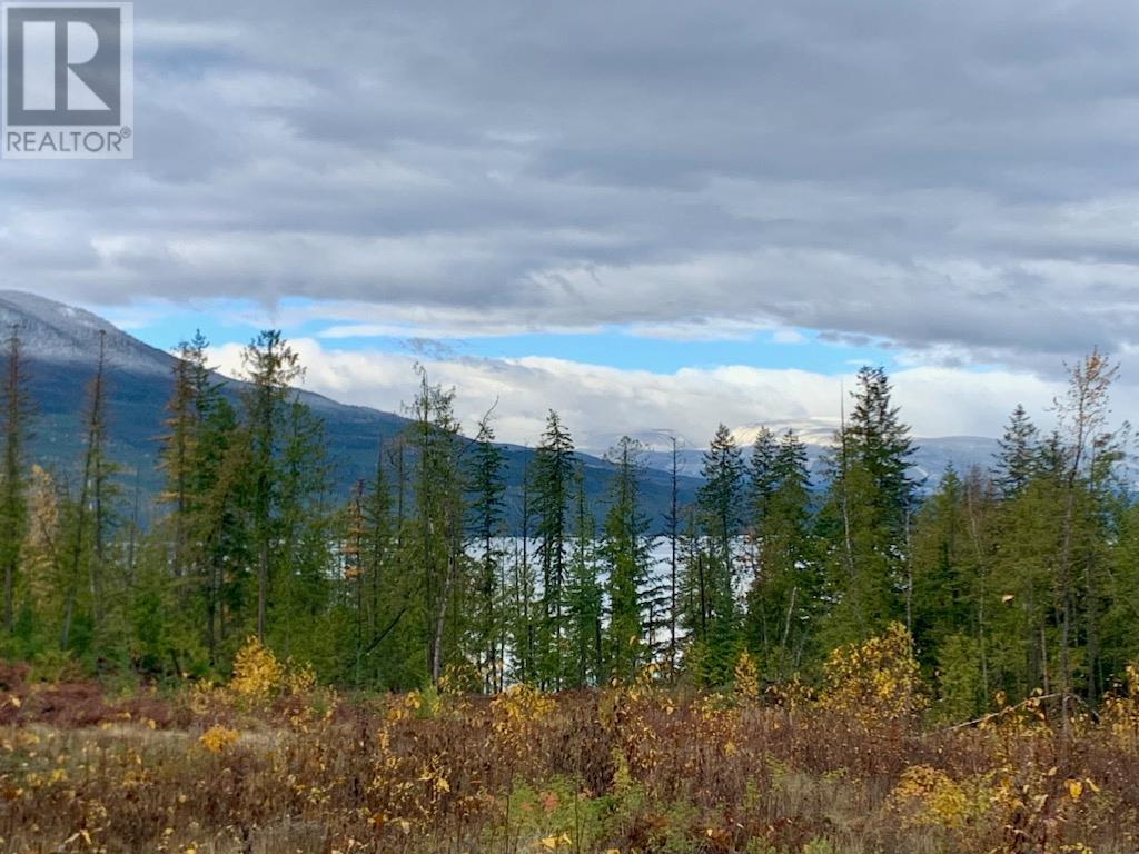 Lot A 23 Highway, Nakusp, British Columbia  V0G 1R0 - Photo 18 - 10327777