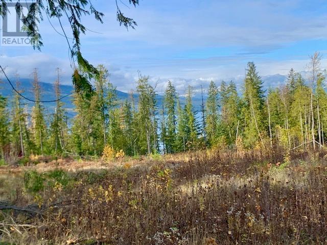 Lot A 23 Highway, Nakusp, British Columbia  V0G 1R0 - Photo 2 - 10327777