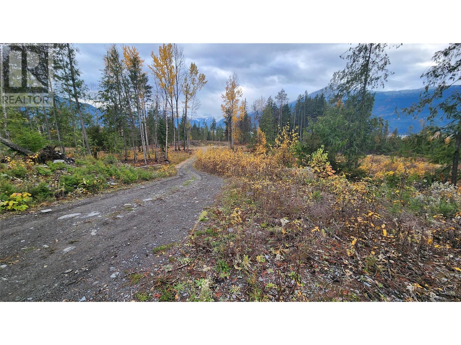 Lot A 23 Highway, Nakusp, British Columbia  V0G 1R0 - Photo 20 - 10327777