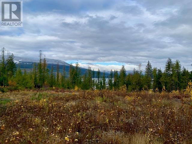 Lot A 23 Highway, Nakusp, British Columbia  V0G 1R0 - Photo 3 - 10327777