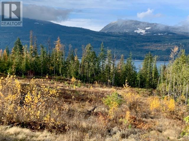 Lot A 23 Highway, Nakusp, British Columbia  V0G 1R0 - Photo 4 - 10327777