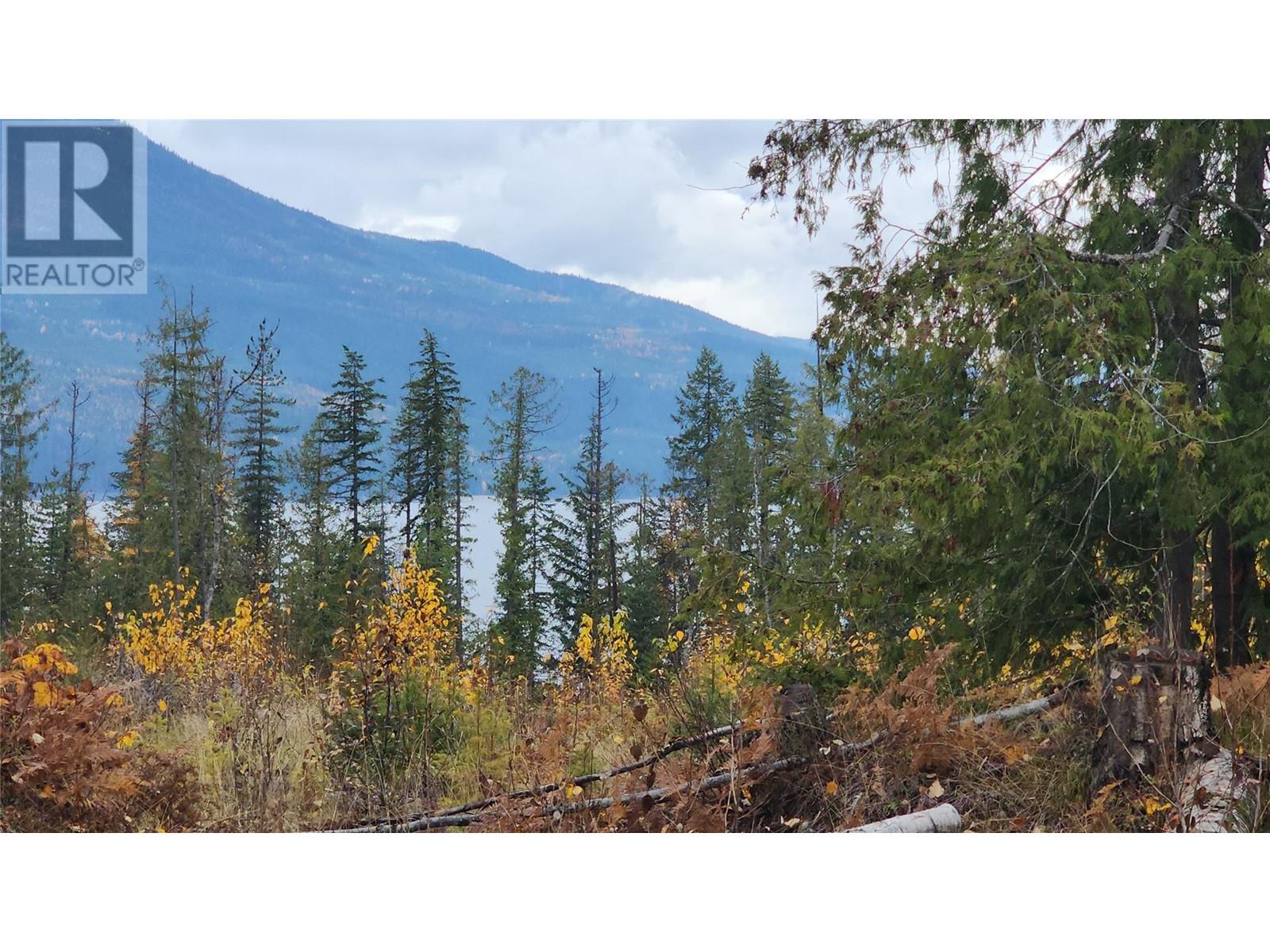 Lot A 23 Highway, Nakusp, British Columbia  V0G 1R0 - Photo 6 - 10327777