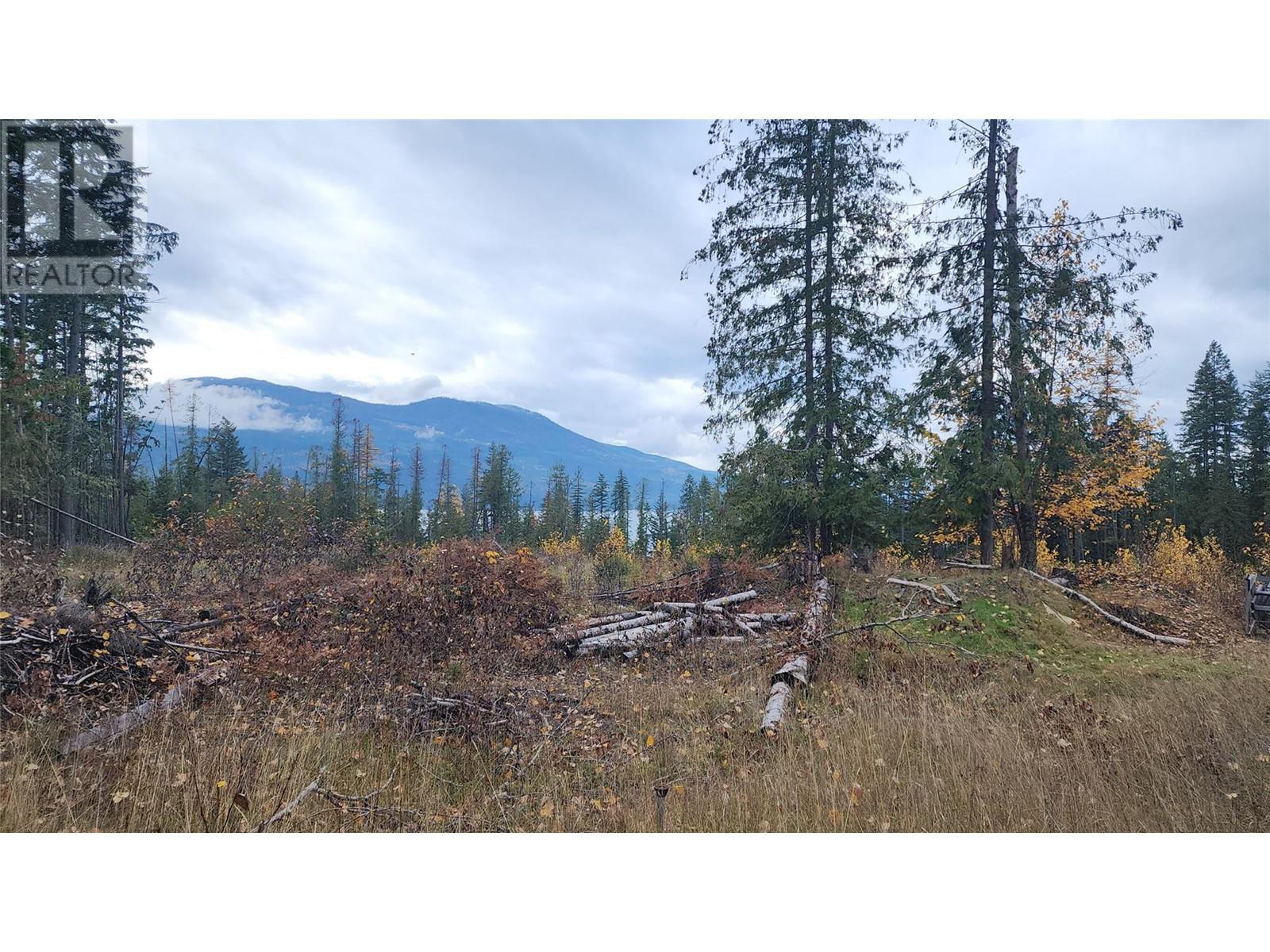 Lot A 23 Highway, Nakusp, British Columbia  V0G 1R0 - Photo 8 - 10327777