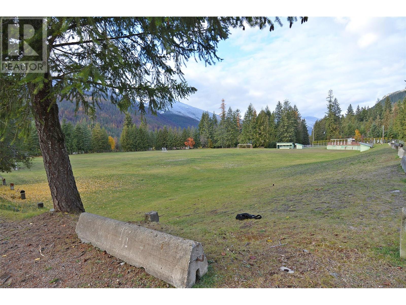 705 Giffin Avenue, Slocan, British Columbia  V0G 2C0 - Photo 42 - 10328011