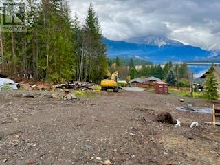 411 Bayview Road, Nakusp, British Columbia  V0G 1R1 - Photo 5 - 10328370