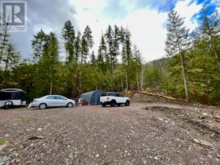 411 Bayview Road, Nakusp, British Columbia  V0G 1R1 - Photo 6 - 10328370