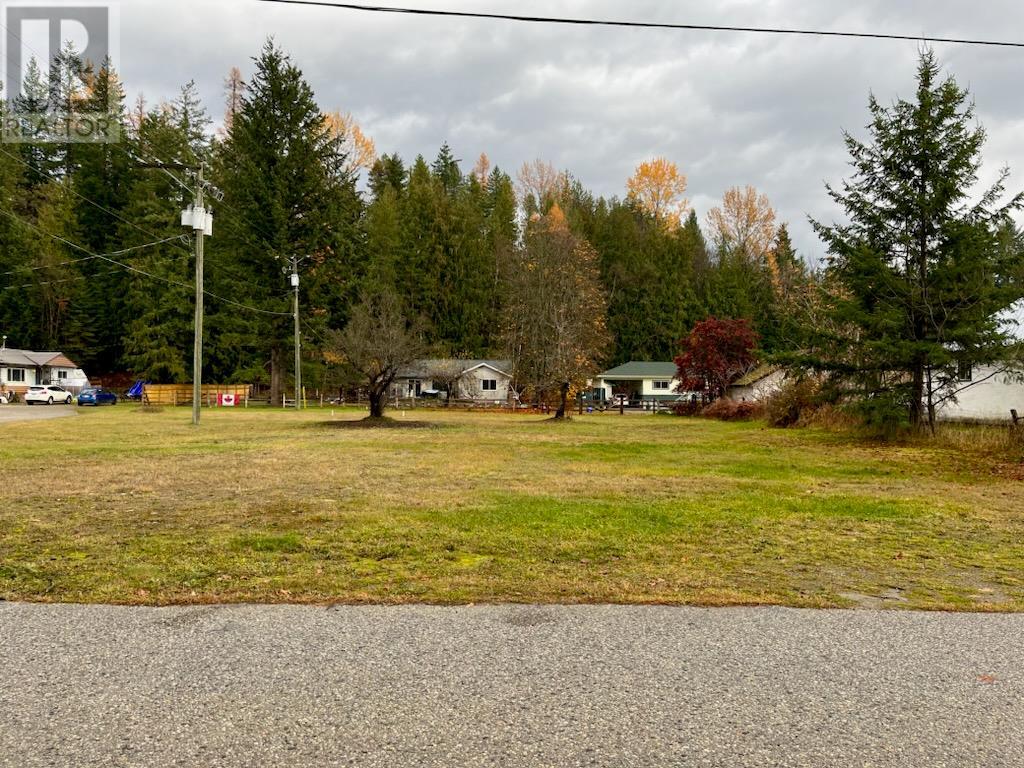 515 4th Avenue, Nakusp, British Columbia  V0G 1R0 - Photo 1 - 10328392