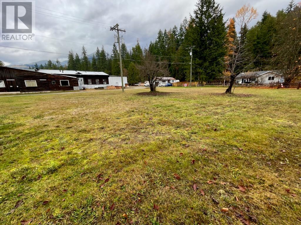 515 4th Avenue, Nakusp, British Columbia  V0G 1R0 - Photo 5 - 10328392