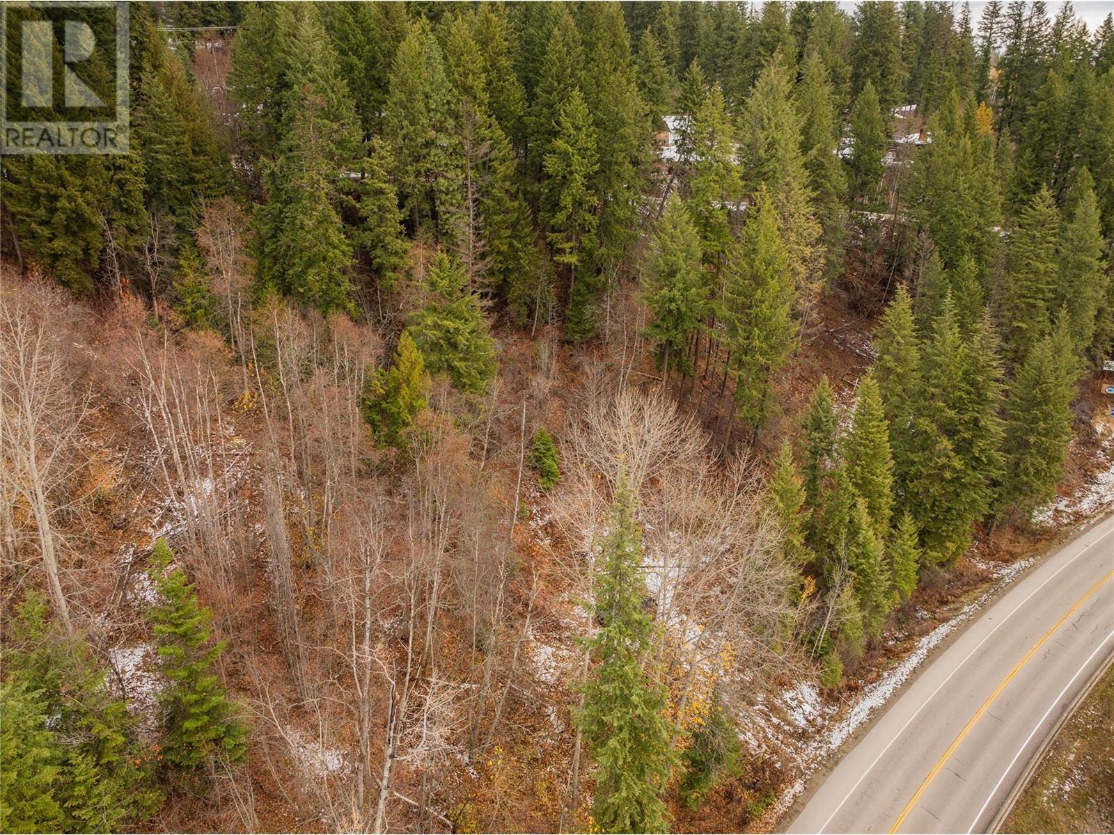 Lot 5 Highway 3a, South Slocan, British Columbia  V0G 2G0 - Photo 16 - 10328964