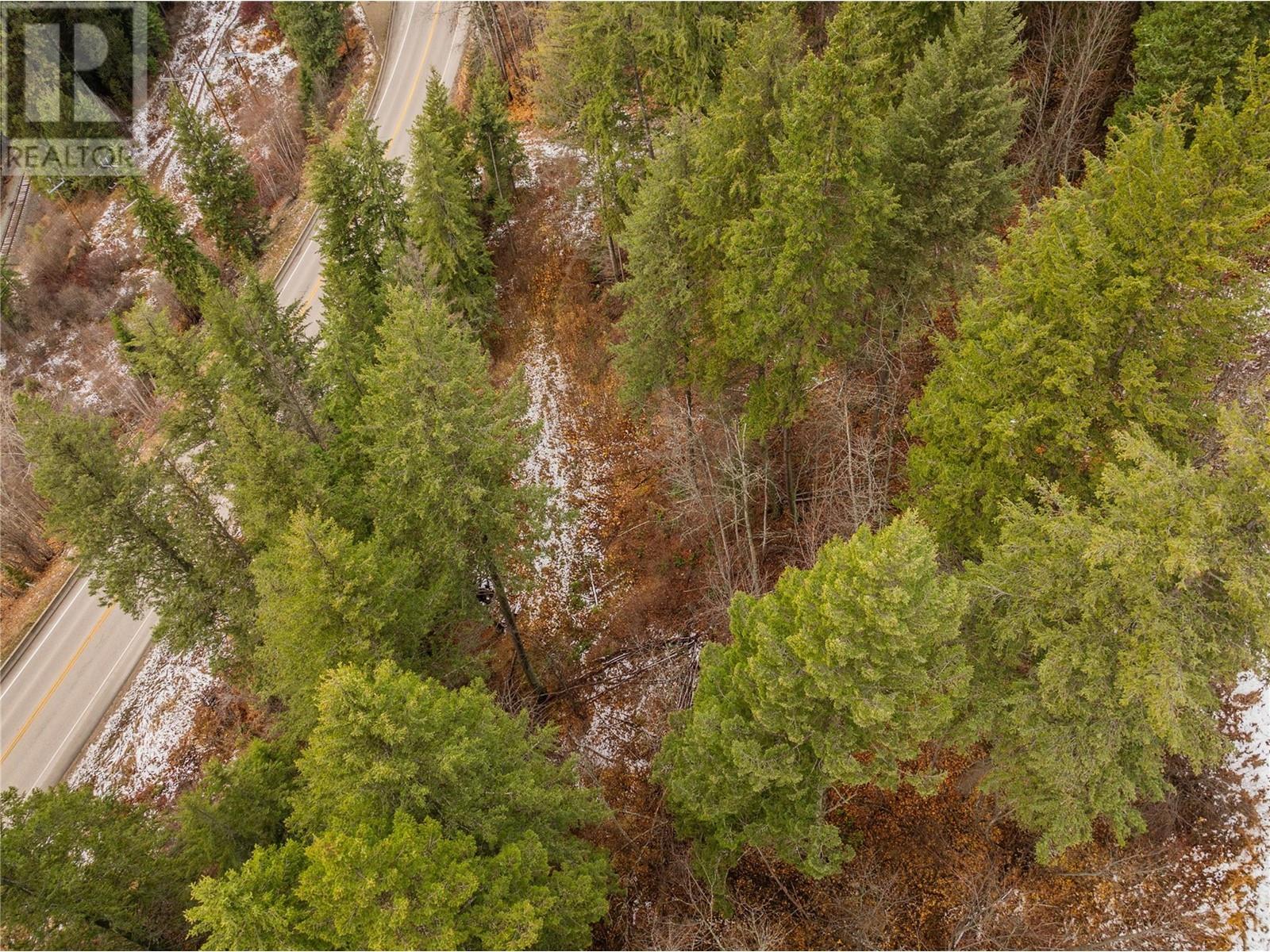 Lot 5 Highway 3a, South Slocan, British Columbia  V0G 2G0 - Photo 19 - 10328964