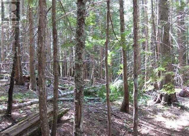 Lot 25 Upper Hills Road, Hills, British Columbia  V0G 1S1 - Photo 11 - 10329766