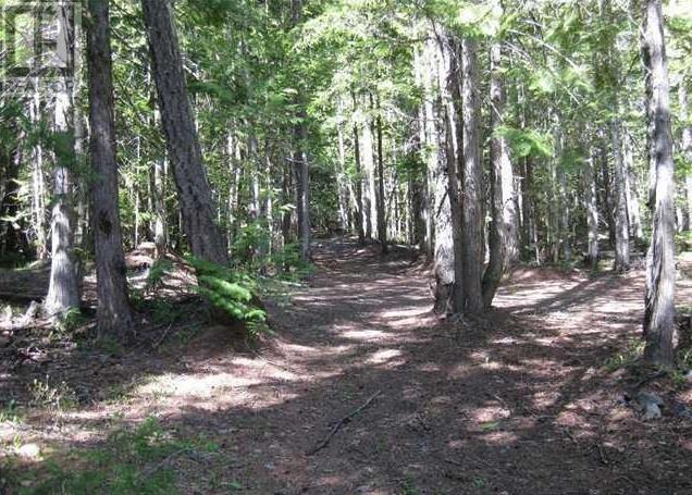 Lot 25 Upper Hills Road, Hills, British Columbia  V0G 1S1 - Photo 8 - 10329766