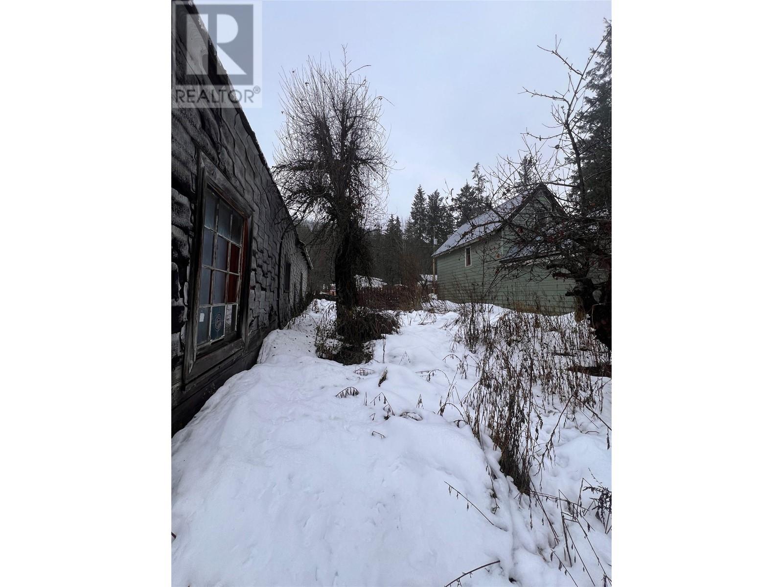 707 Park Street, Slocan, British Columbia  V0G 2C0 - Photo 17 - 10330812