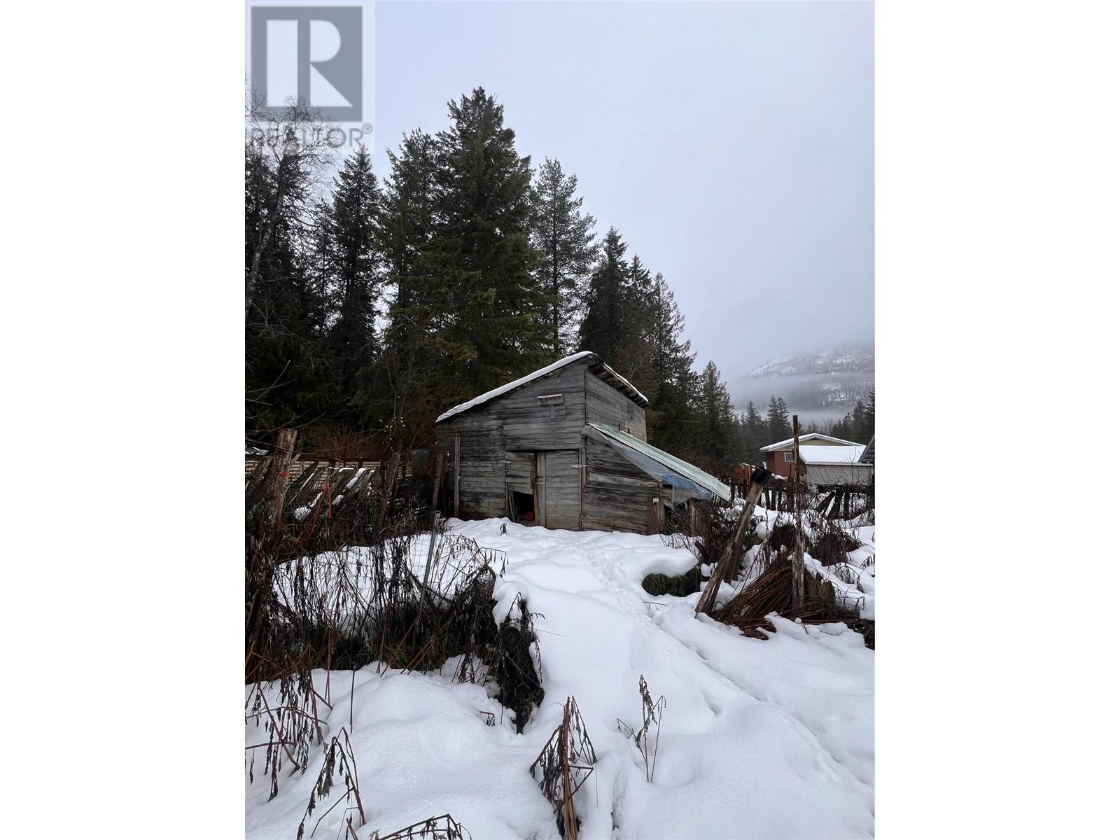 707 Park Street, Slocan, British Columbia  V0G 2C0 - Photo 20 - 10330812