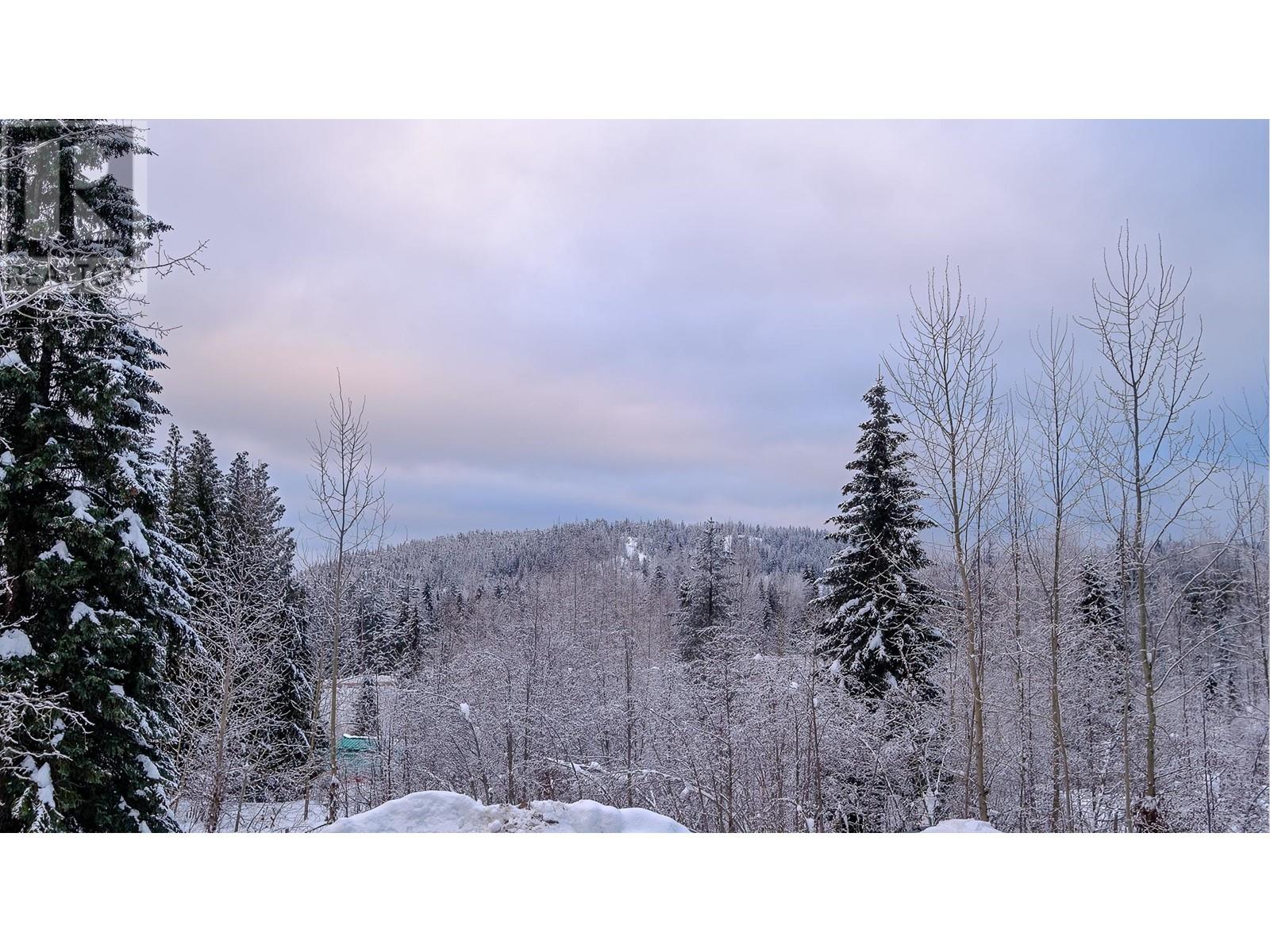 1011 Telemark Road Unit# A3, Rossland, British Columbia  V0G 1Y0 - Photo 25 - 10330918