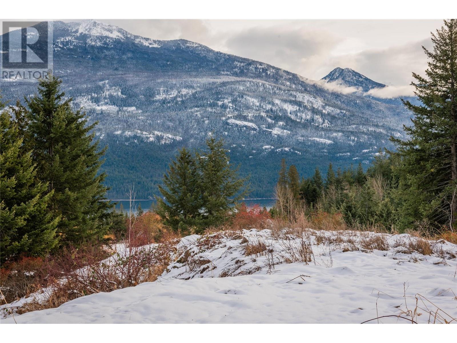 Lot 2 Tangye Road, Kaslo, British Columbia  V0G 1M0 - Photo 20 - 10332341