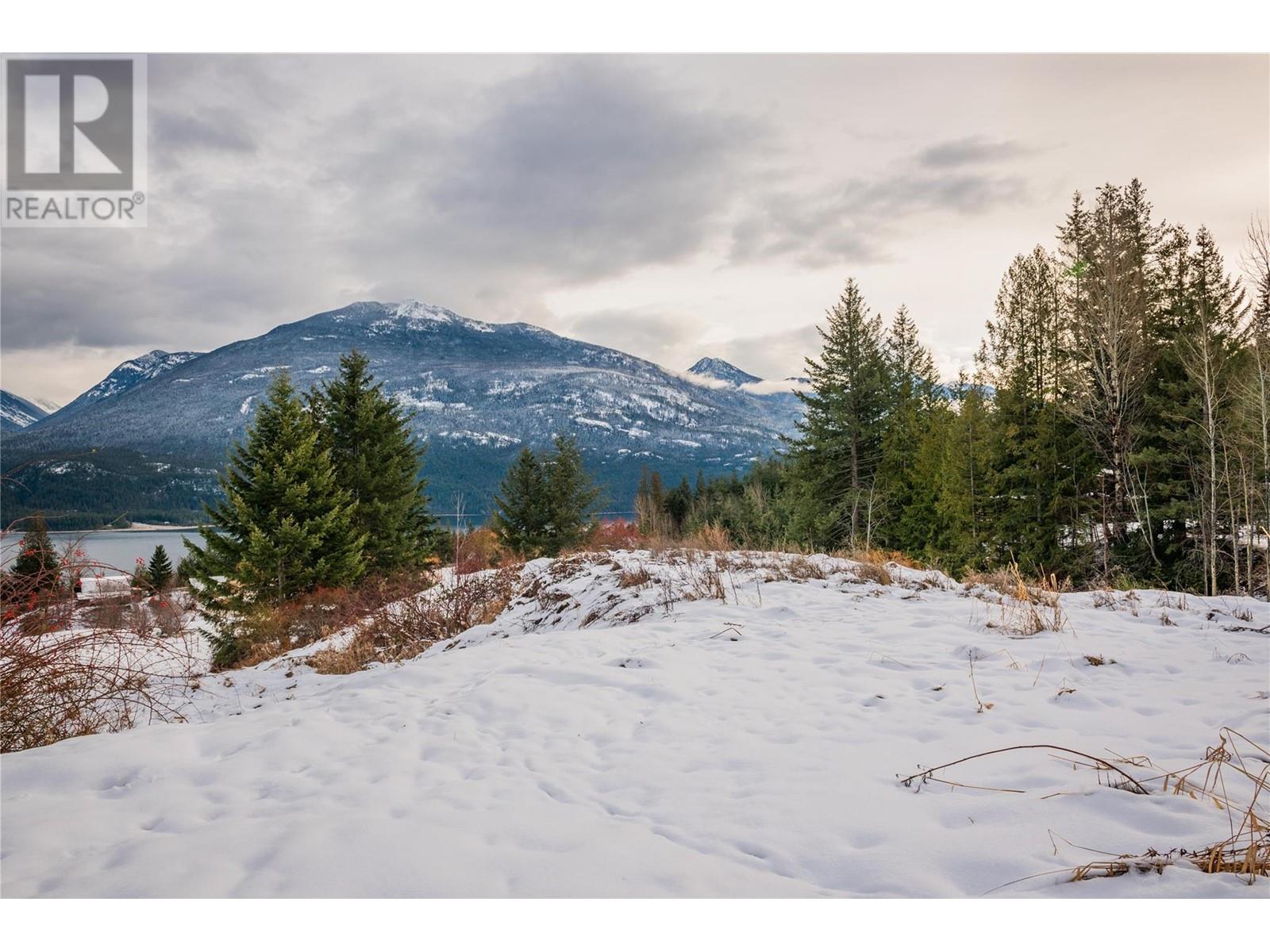 Lot 2 Tangye Road, Kaslo, British Columbia  V0G 1M0 - Photo 21 - 10332341