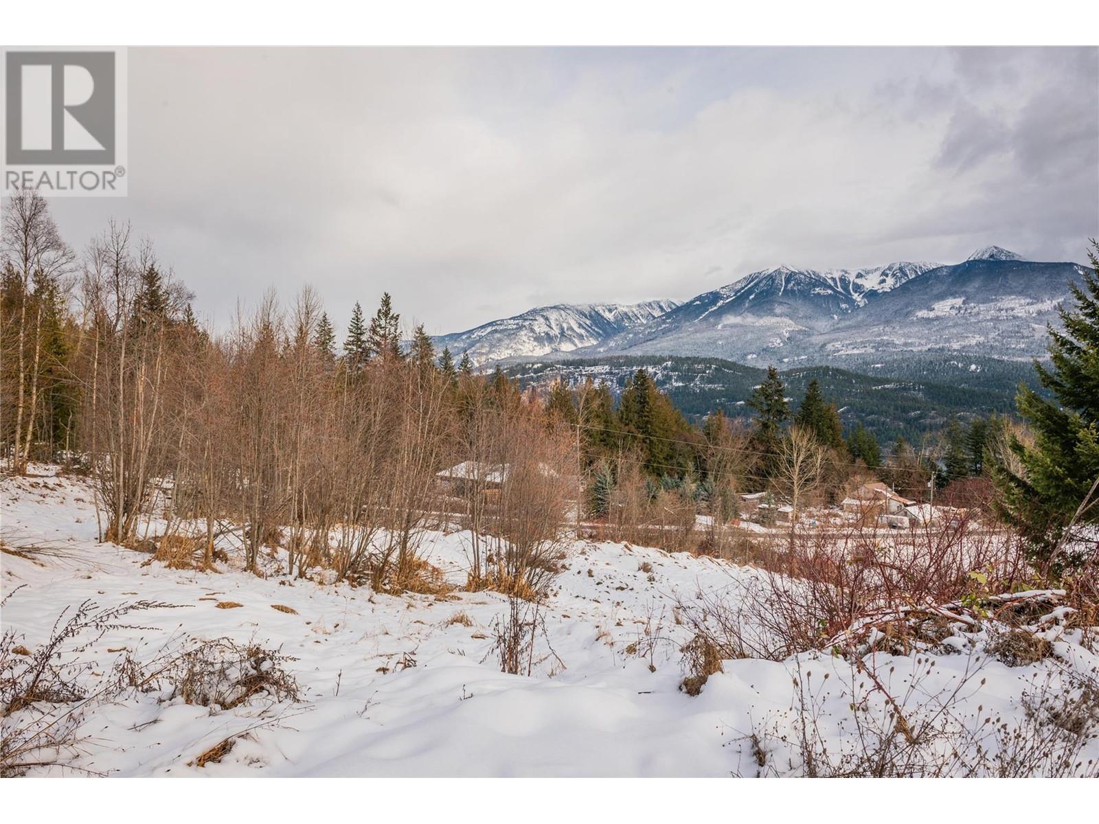 Lot 2 Tangye Road, Kaslo, British Columbia  V0G 1M0 - Photo 23 - 10332341