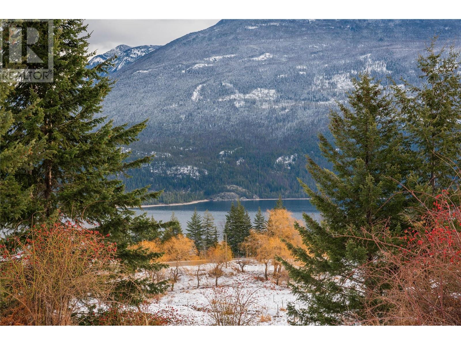 Lot 2 Tangye Road, Kaslo, British Columbia  V0G 1M0 - Photo 25 - 10332341