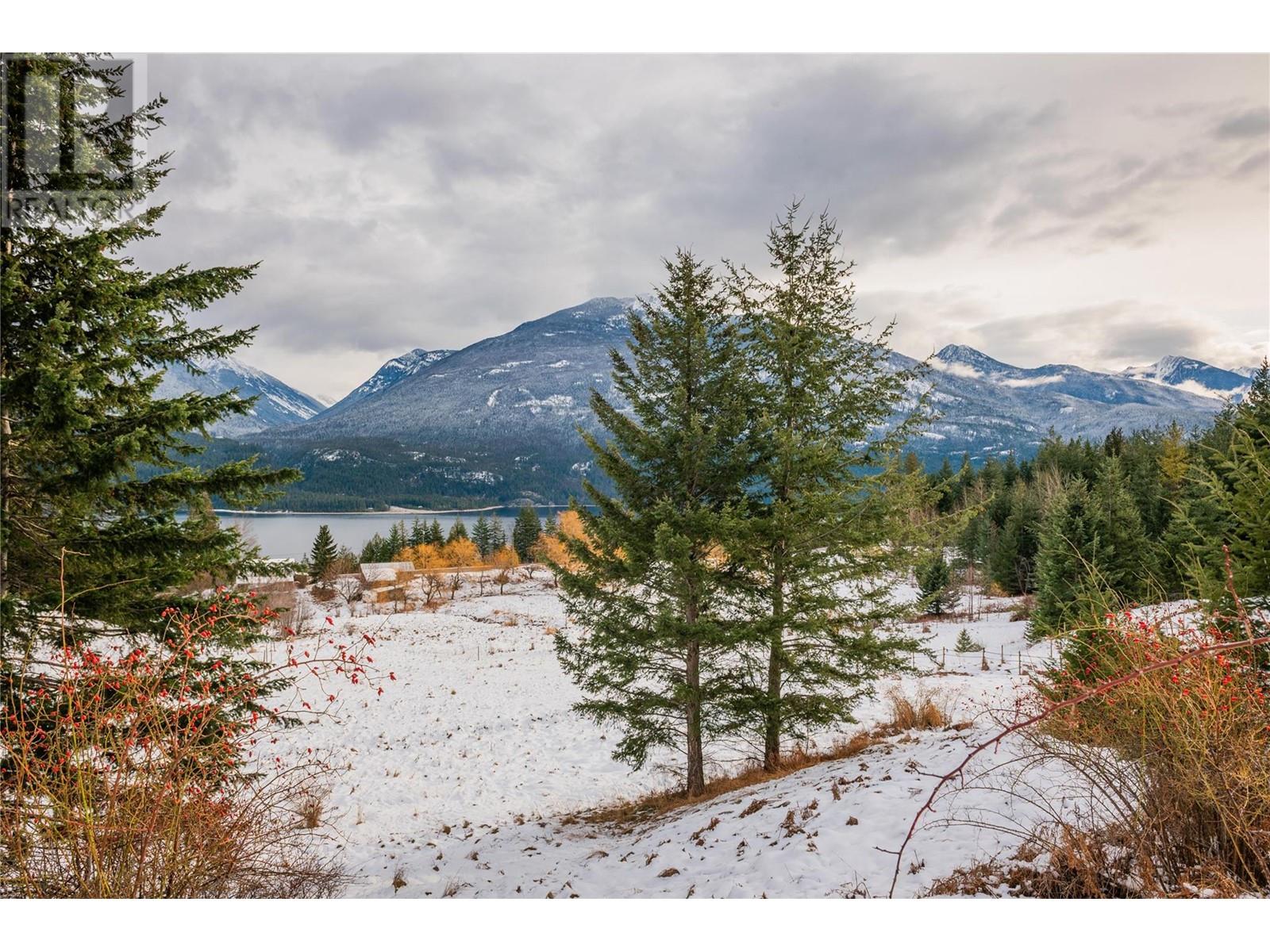 Lot 2 Tangye Road, Kaslo, British Columbia  V0G 1M0 - Photo 26 - 10332341