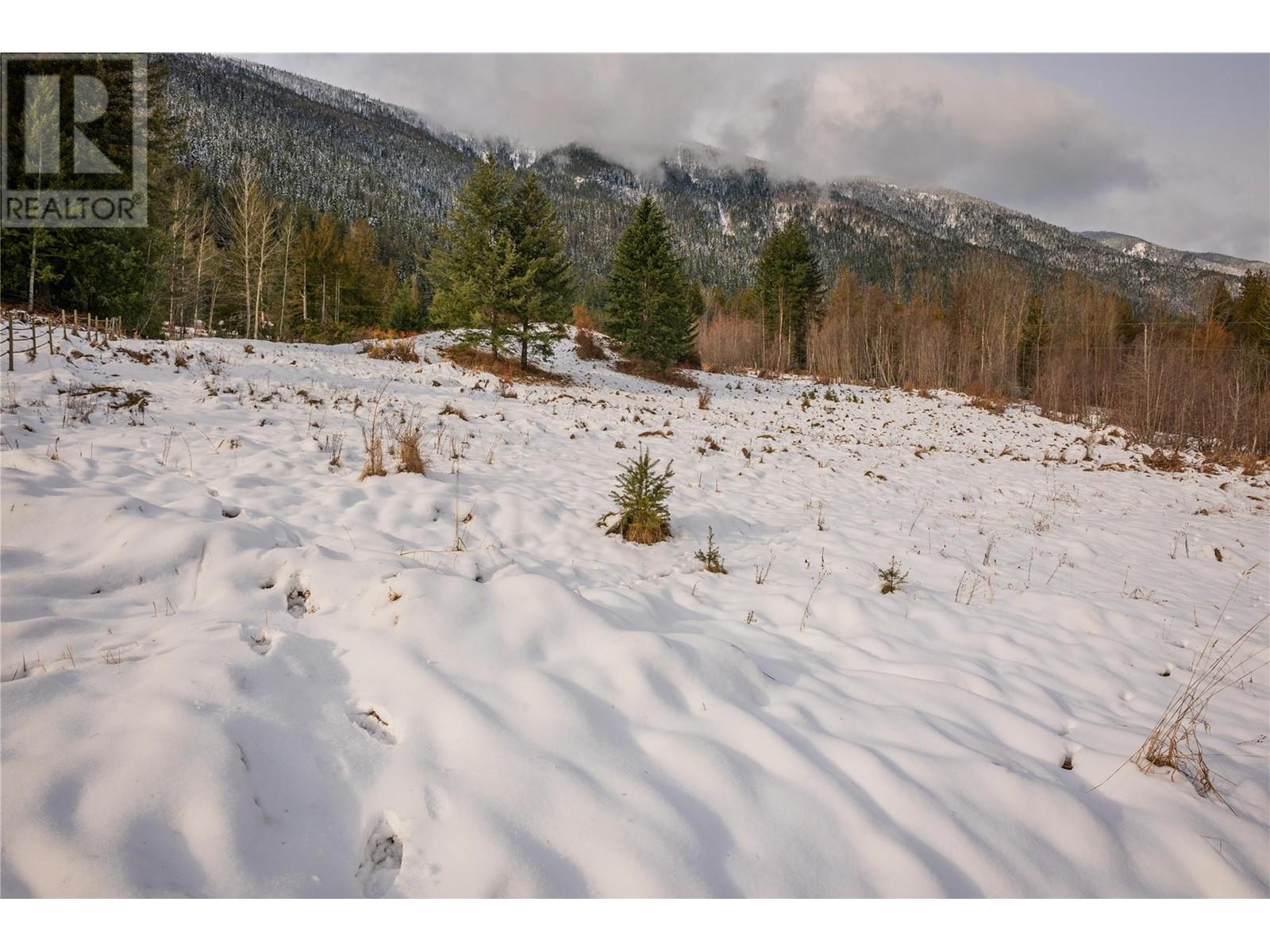 Lot 2 Tangye Road, Kaslo, British Columbia  V0G 1M0 - Photo 31 - 10332341