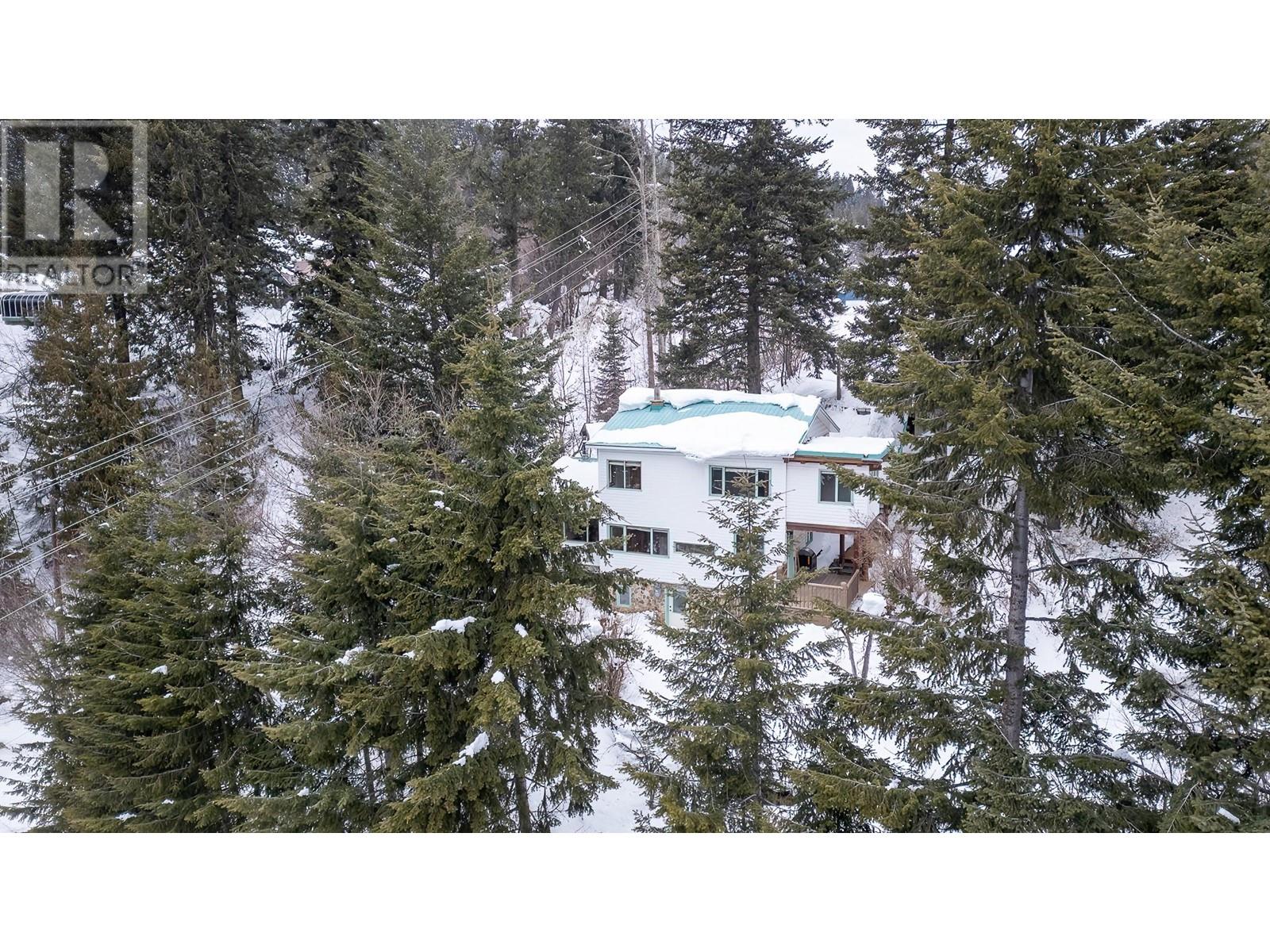 2090 Davis Street, Rossland, British Columbia  V0G 1Y0 - Photo 2 - 10334161