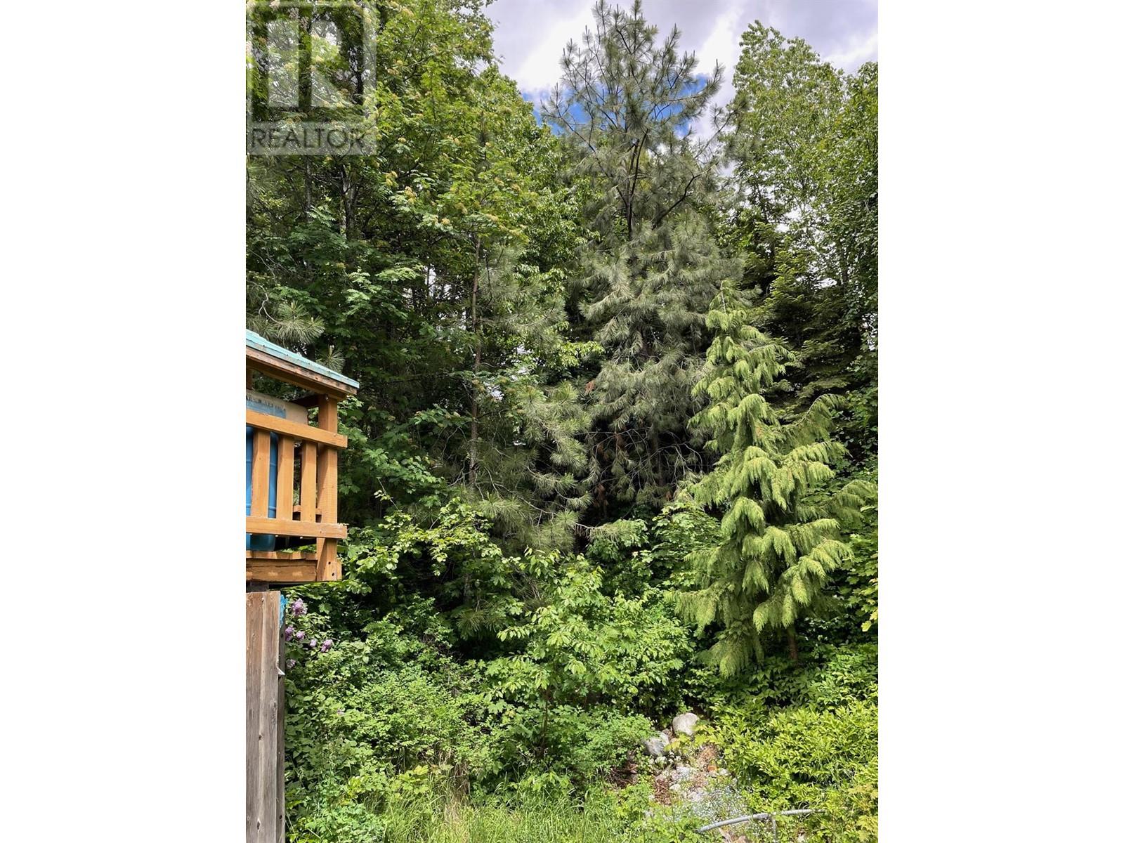 2090 Davis Street, Rossland, British Columbia  V0G 1Y0 - Photo 88 - 10334161