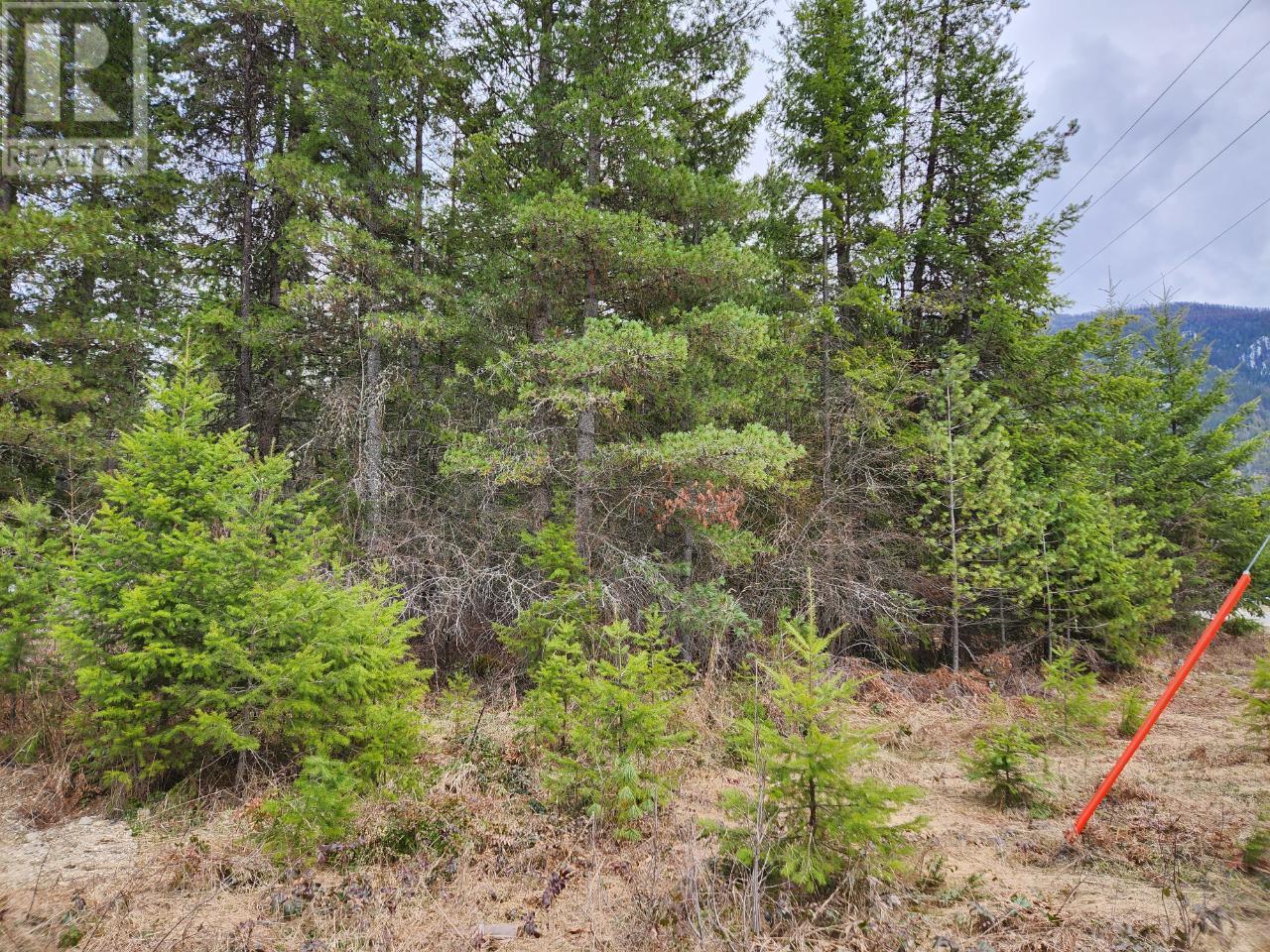 Lots 8-10 Hume Street, Slocan, British Columbia  V0G 2C0 - Photo 4 - 10334773