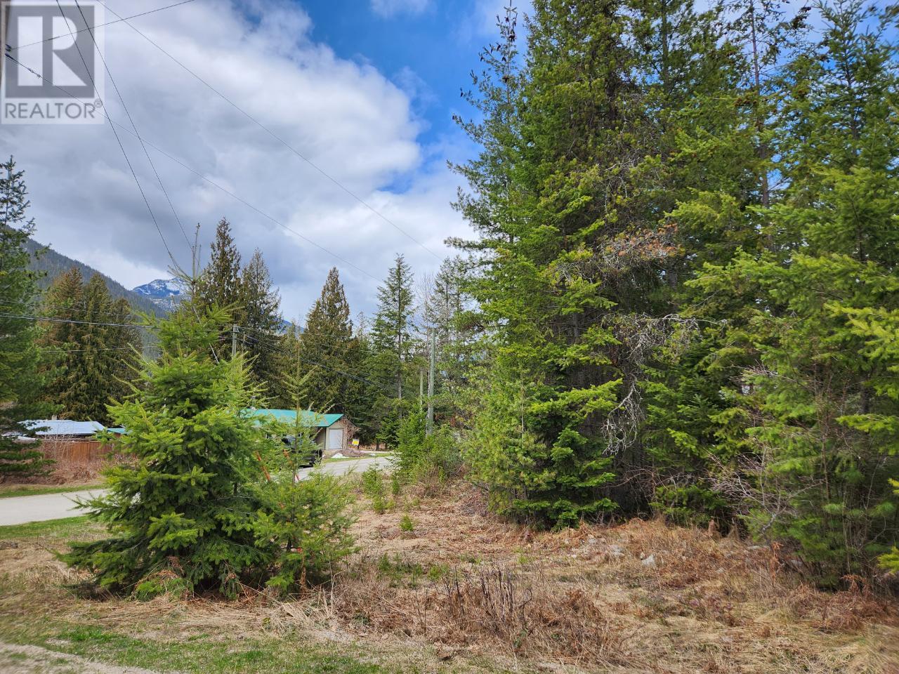 Lots 8-10 Hume Street, Slocan, British Columbia  V0G 2C0 - Photo 8 - 10334773