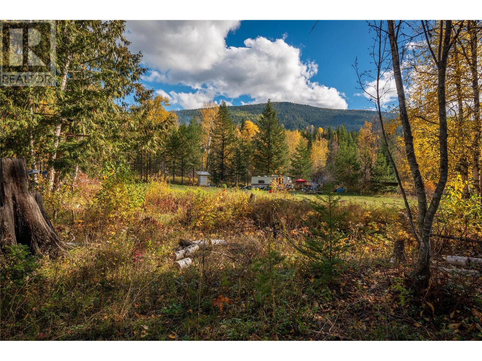 222 Rosebud Lake Road, Nelway, British Columbia  V0G 1Z0 - Photo 10 - 10335251