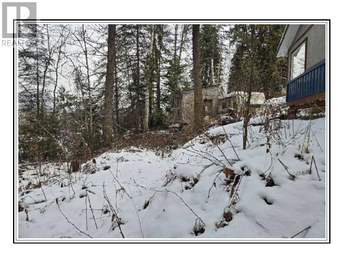 6601 Nixon Road, Appledale, British Columbia  V0G 2E0 - Photo 3 - 10334942