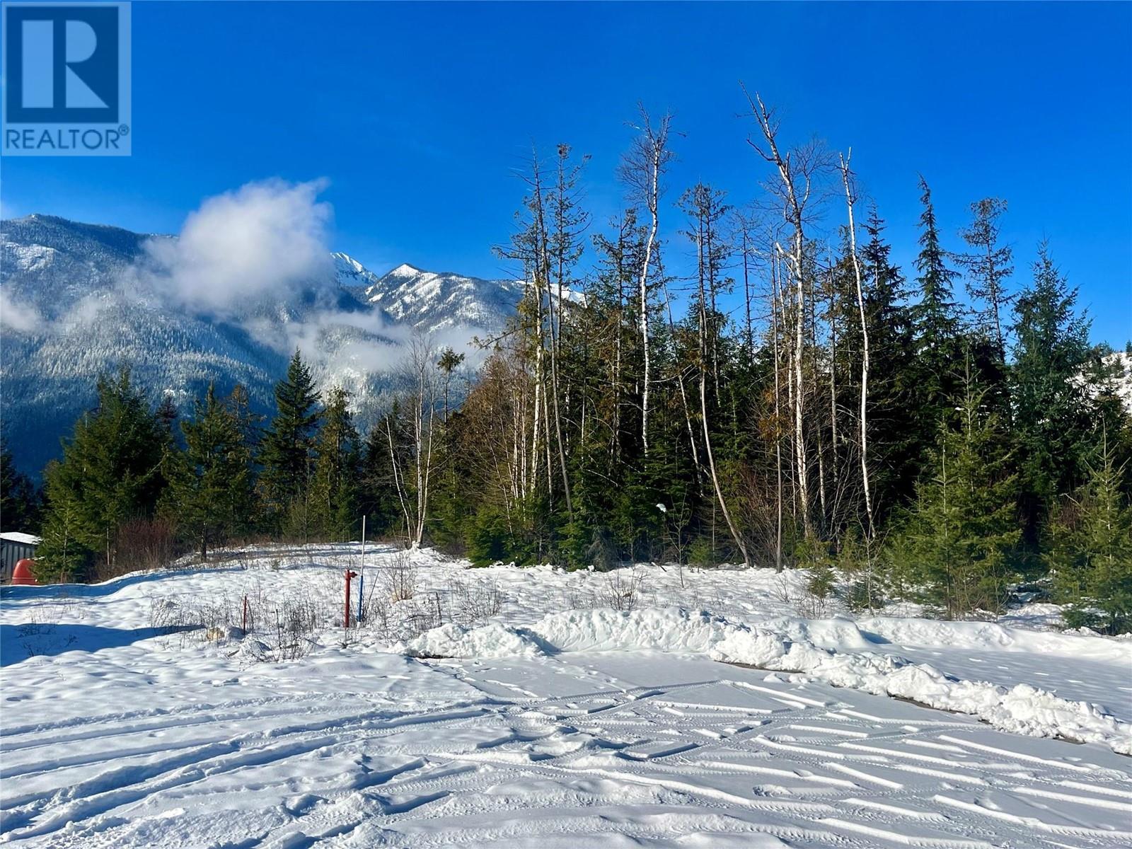 210 Fullmoon Road, Rosebery, British Columbia  V0G 1S1 - Photo 20 - 10335451