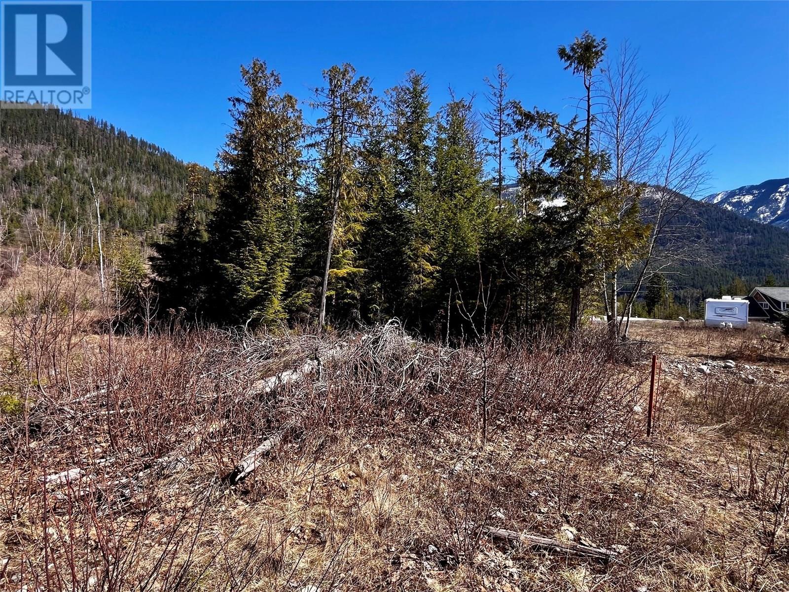 210 Fullmoon Road, Rosebery, British Columbia  V0G 1S1 - Photo 26 - 10335451