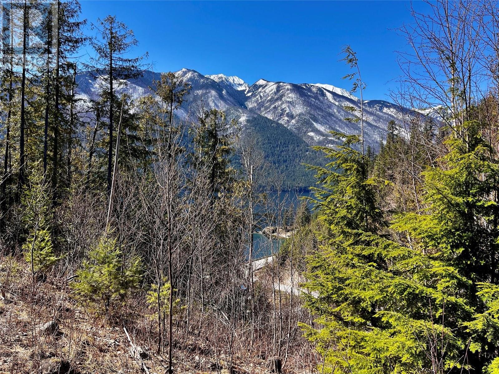 210 Fullmoon Road, Rosebery, British Columbia  V0G 1S1 - Photo 27 - 10335451