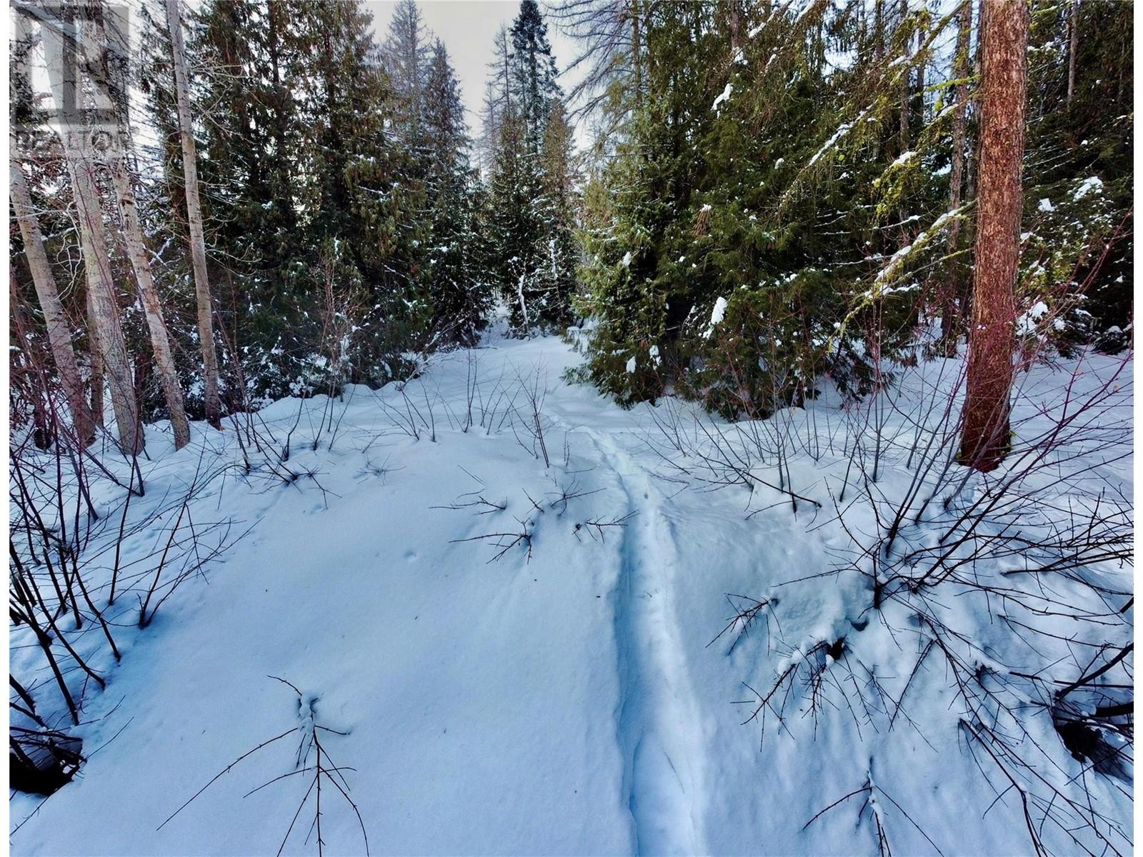 2009 Happy Valley Road, Rossland, British Columbia  V0G 1Y0 - Photo 16 - 10335837