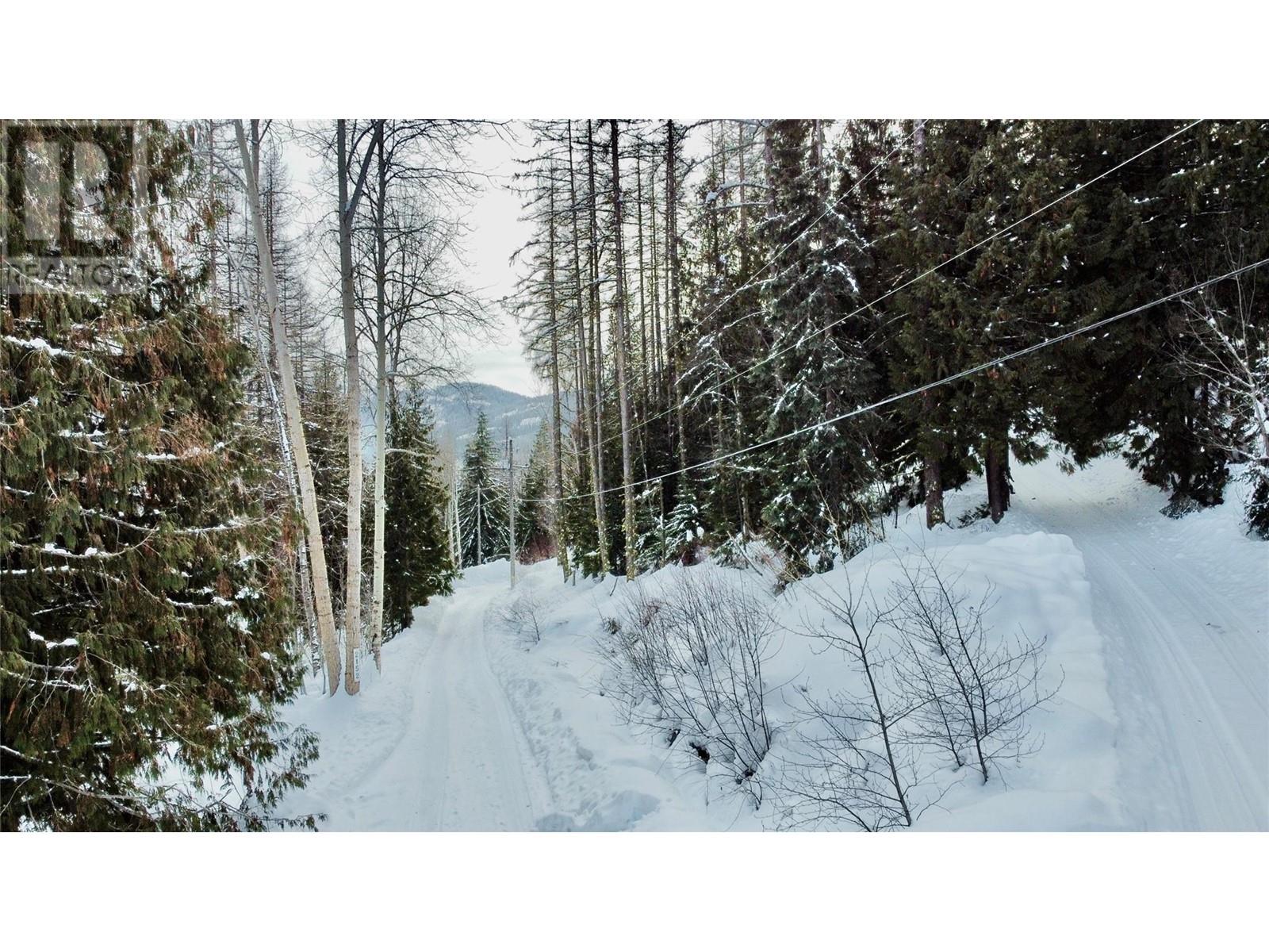 2009 Happy Valley Road, Rossland, British Columbia  V0G 1Y0 - Photo 6 - 10335837