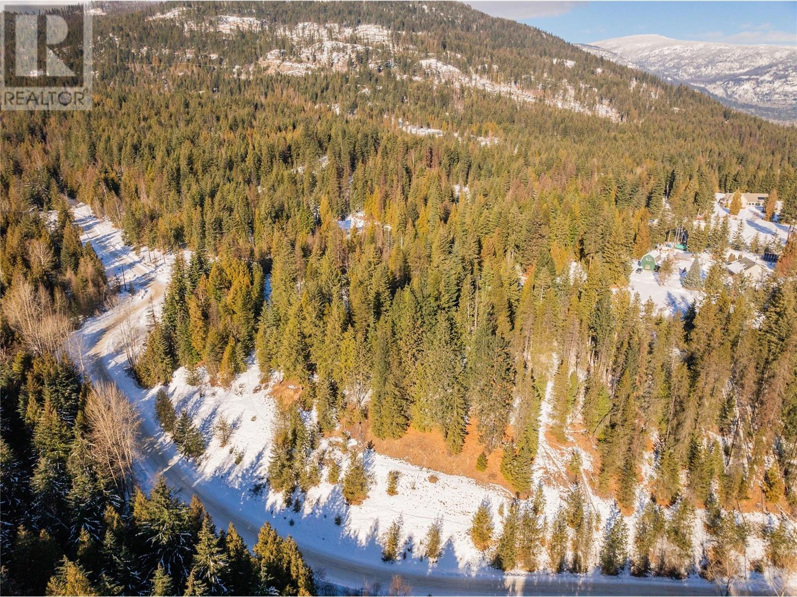 Lot 91 Mountain Ridge Road, Castlegar, British Columbia  V0G 1G0 - Photo 13 - 10337031