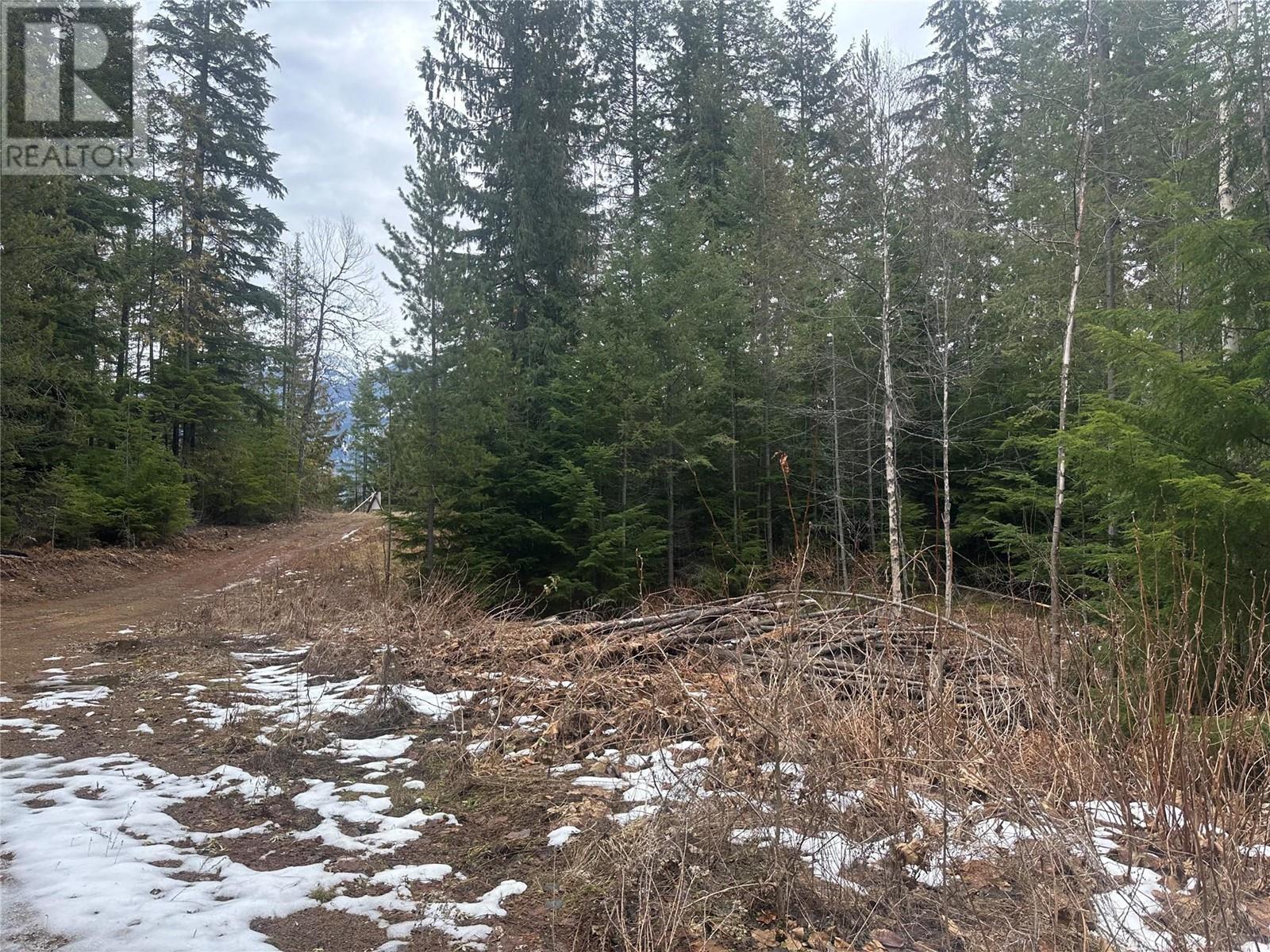 Lot A Highway 31 Highway, Kaslo, British Columbia  V0G 1M0 - Photo 1 - 10337080