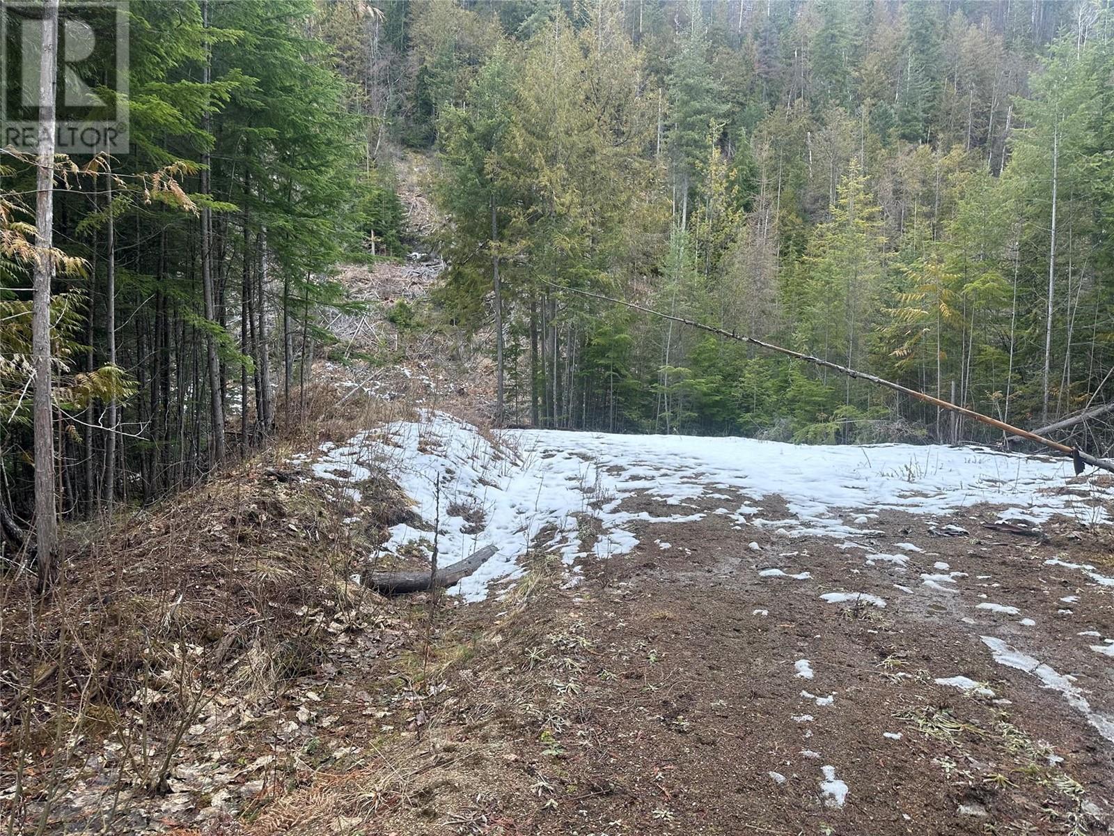 Lot A Highway 31 Highway, Kaslo, British Columbia  V0G 1M0 - Photo 10 - 10337080