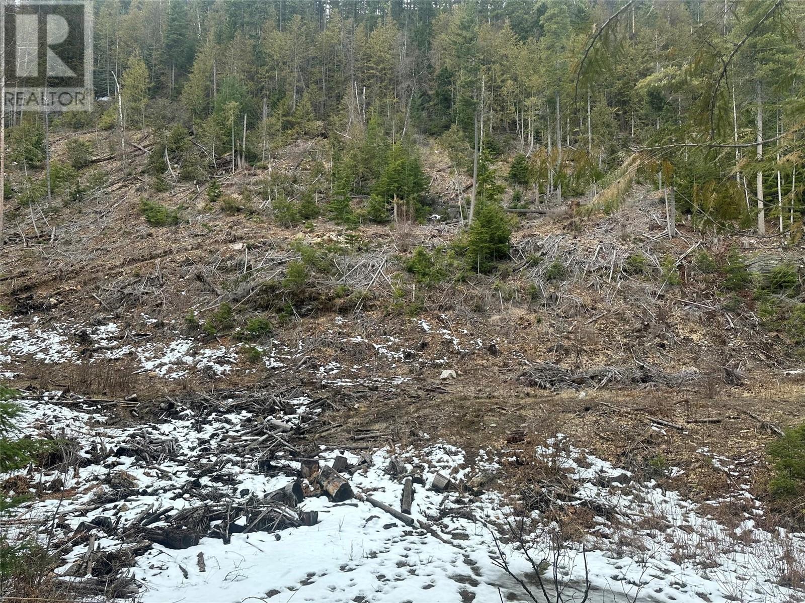 Lot A Highway 31 Highway, Kaslo, British Columbia  V0G 1M0 - Photo 11 - 10337080