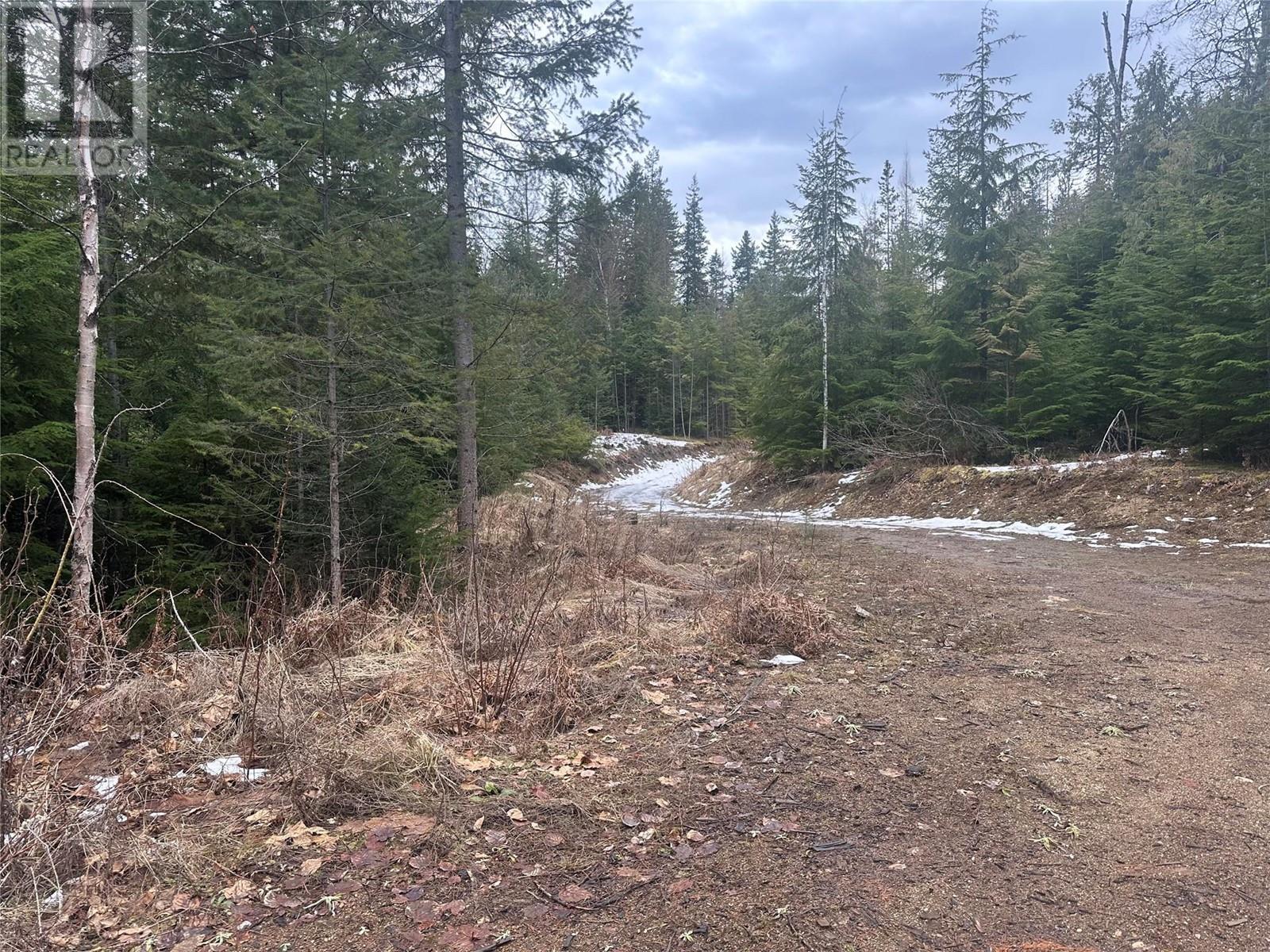 Lot A Highway 31 Highway, Kaslo, British Columbia  V0G 1M0 - Photo 2 - 10337080