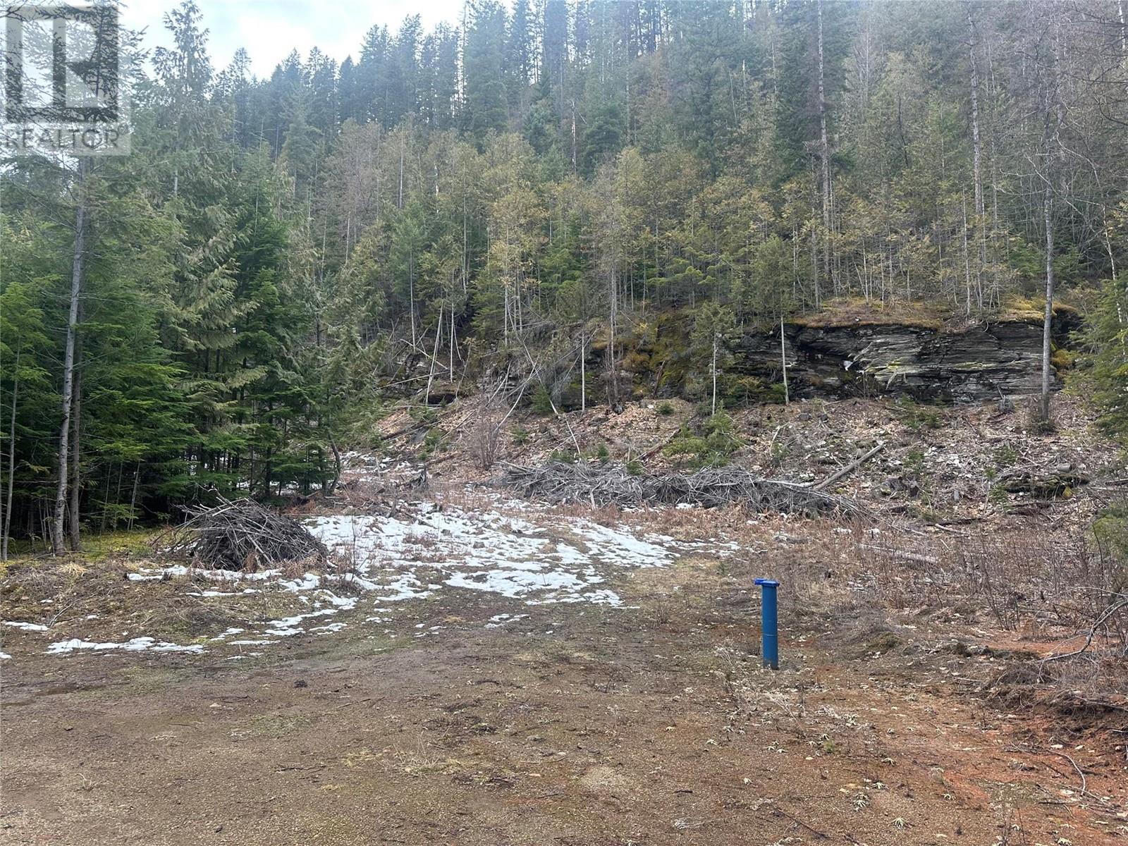 Lot A Highway 31 Highway, Kaslo, British Columbia  V0G 1M0 - Photo 3 - 10337080