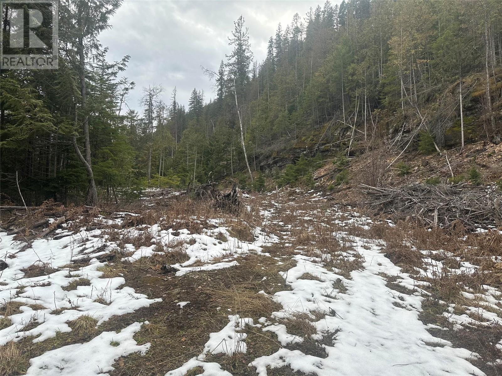 Lot A Highway 31 Highway, Kaslo, British Columbia  V0G 1M0 - Photo 7 - 10337080