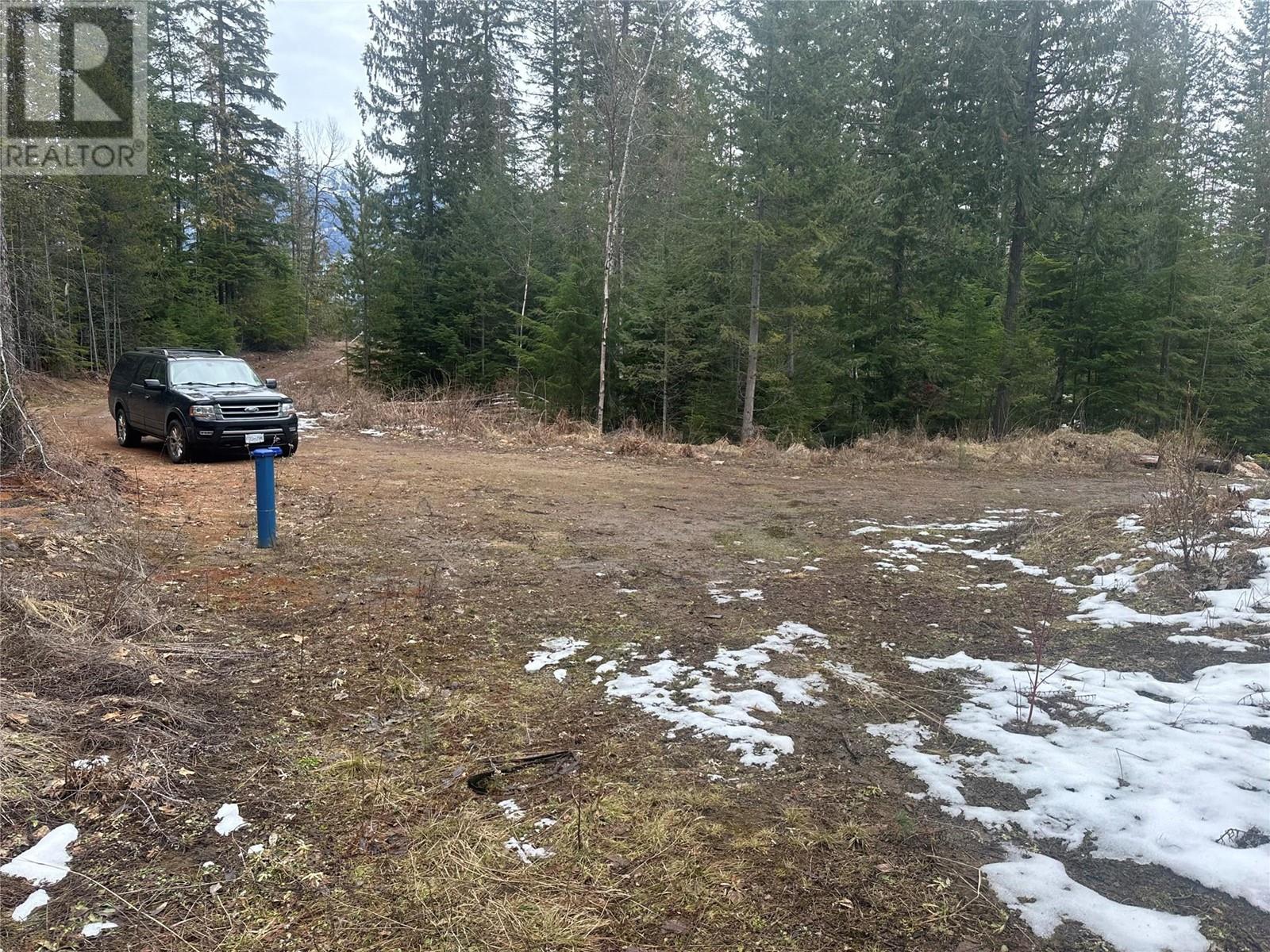 Lot A Highway 31 Highway, Kaslo, British Columbia  V0G 1M0 - Photo 8 - 10337080