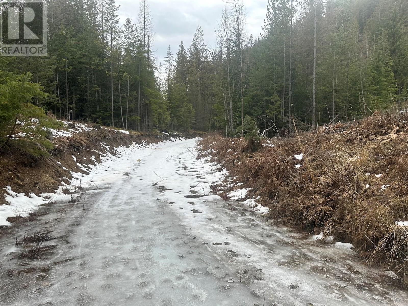 Lot B Highway 31 Highway, Kaslo, British Columbia  V0G 1M0 - Photo 3 - 10337083