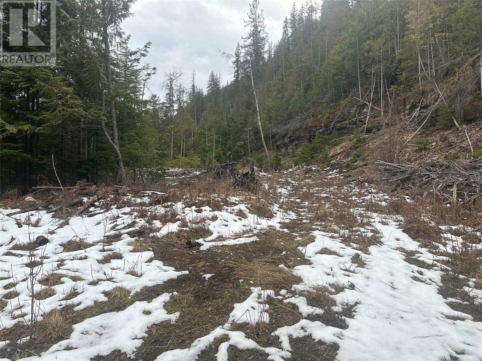 Lot B Highway 31 Highway, Kaslo, British Columbia  V0G 1M0 - Photo 4 - 10337083