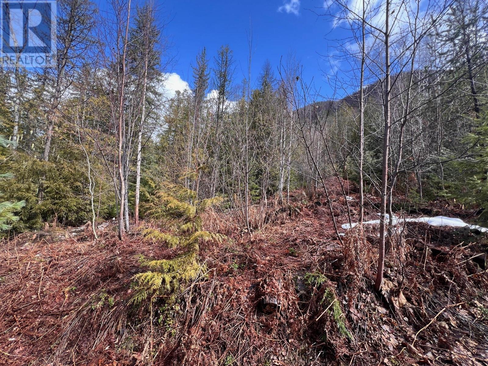 Lot 2 Martens Road, Slocan, British Columbia  V0G 2C0 - Photo 1 - 10338163